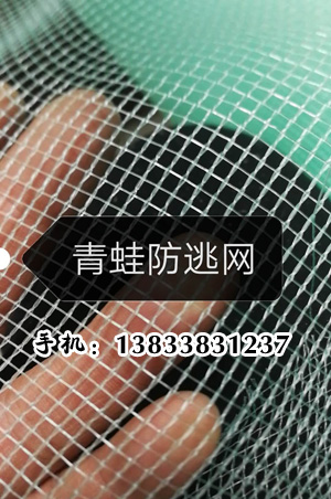 青蛙防逃网
